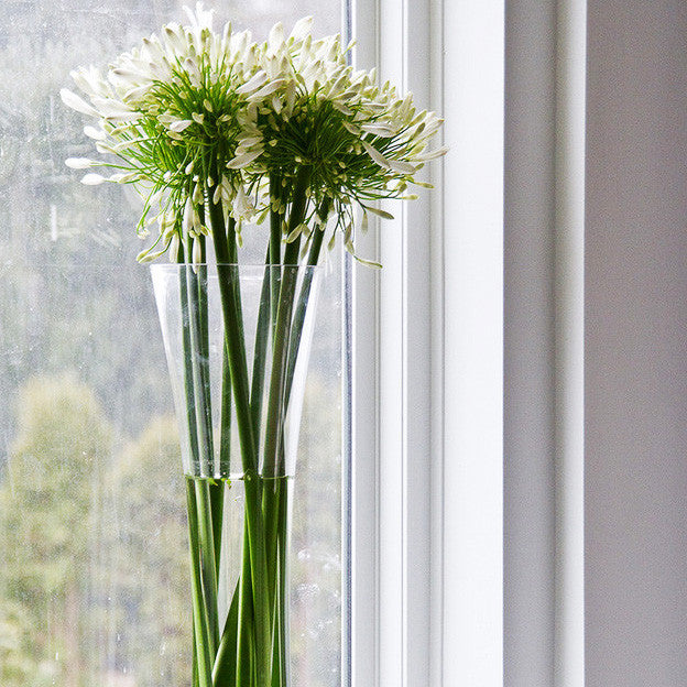 Florero Vases