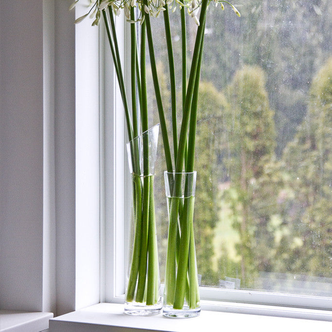 Florero Vases